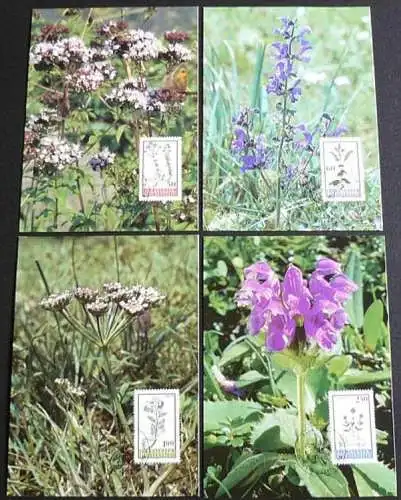 LIECHTENSTEIN 1993 Mi-Nr. 1069/72 Maximumkarten MK/MC 119