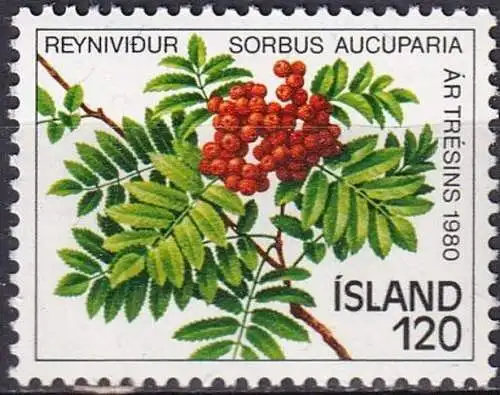 ISLAND 1980 Mi-Nr. 534 ** MNH