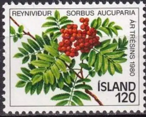 ISLAND 1980 Mi-Nr. 554 ** MNH