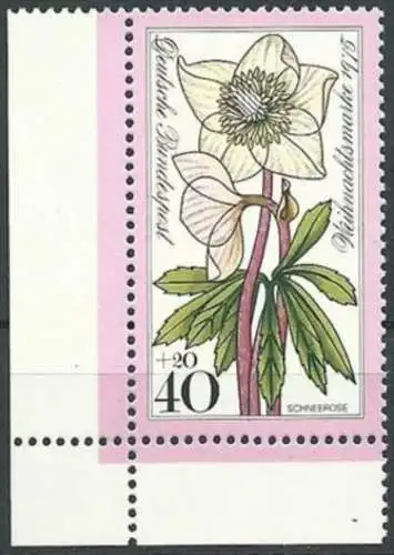 DEUTSCHLAND 1975 Mi-Nr. 874 Eckrand ** MNH