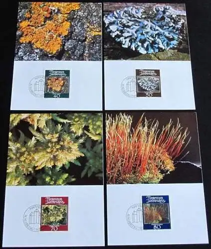 LIECHTENSTEIN 1981 Mi-Nr. 776/79 Maximumkarten MK/MC 25