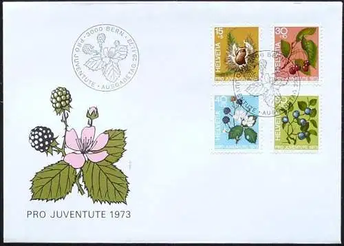 SCHWEIZ 1973 Mi-Nr. 1013/16 FDC