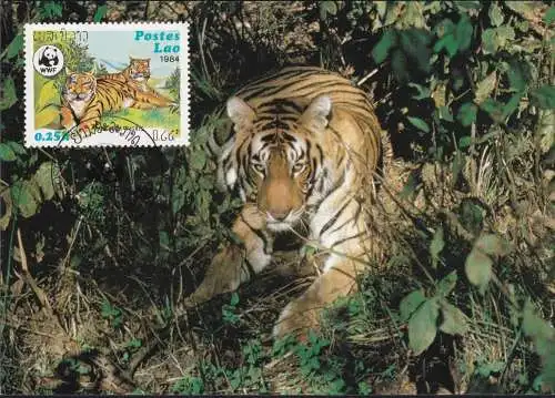 WWF 1984 Postes Lao Tiger Maximumkarte MK/MC