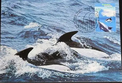 AUSTRALIAN ANTARCTIC TERRITORY 1995 Mi-Nr. 103 MK/MC