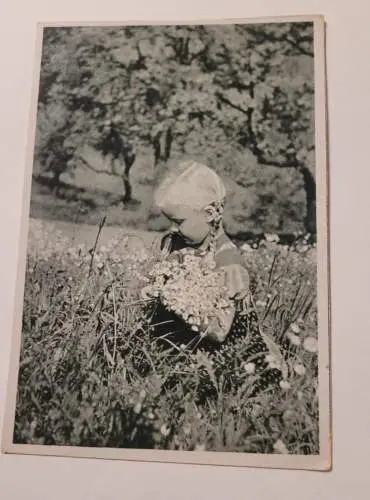 Kleines Mädchen beim Blumenpflücken