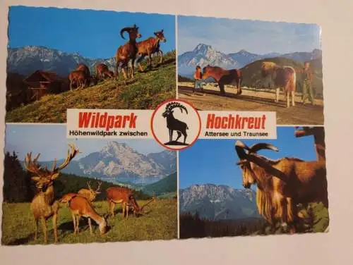 Wildpark Hochkreut