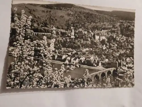 Frühling in Heidelberg blick vom Philosophenweg