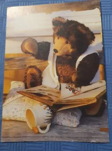 Teddybär mit Buch