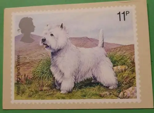 West Highland Terrier