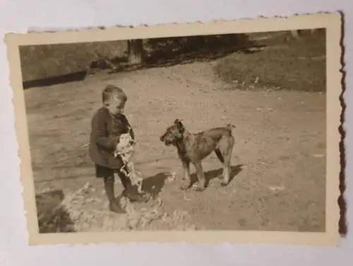 Kleiner Junge mit Hund