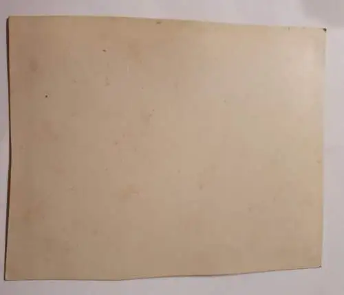 Die lustigen Brüder - 1895