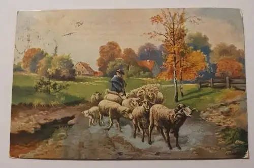Schäfer treibt Schafe
