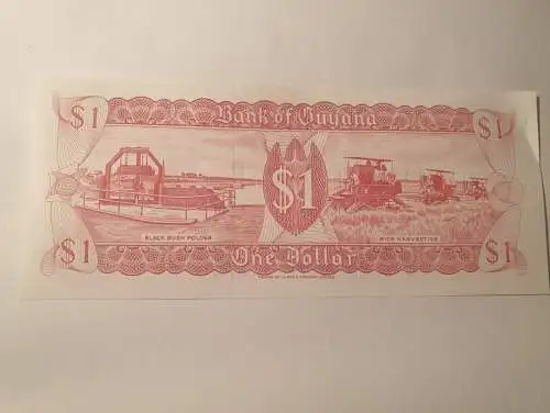 1 Dollar - Guyana