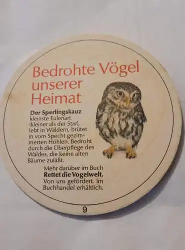 Bierdeckel - Mackatzer Löwenbräu -Der Sperlingskauz