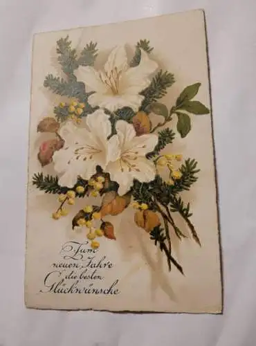 Zum neuen Jahre die besten Glückwünsche