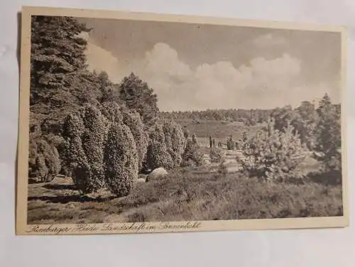 Lüneburger Heide - Feldpost 1944