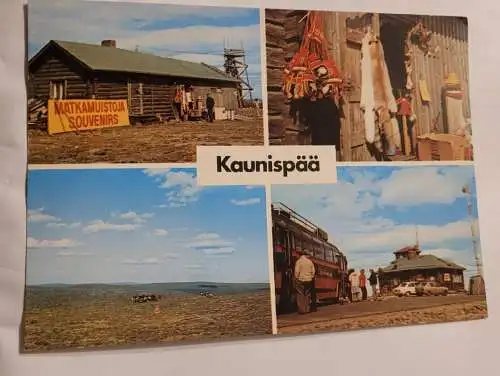 Kaunispää