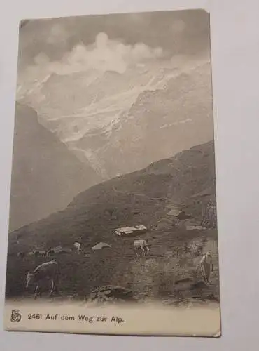 Aussicht von der Guggelhütte gegen den Eiger