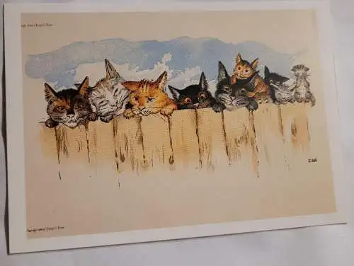 Katzen am Zaun