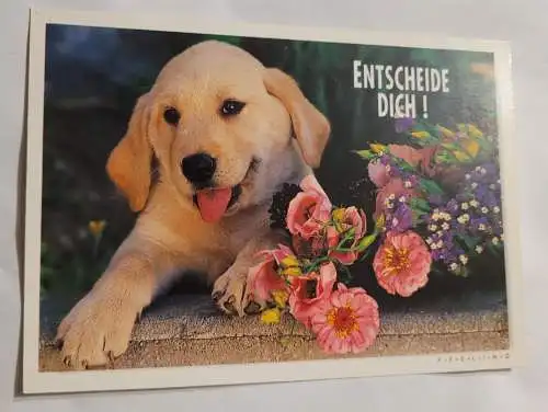 Hund - Blumen