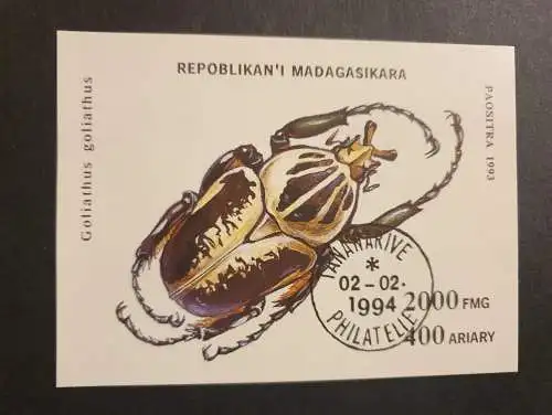 Madagaskar - Käfer - Goliathus
