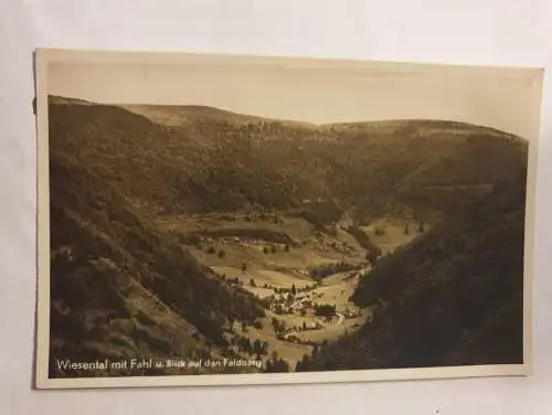 Wiesental mit Fahl u. Blick auf den Feldberg