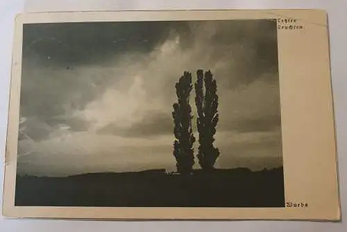 Letztes Leuchten - Schönheit am Wege