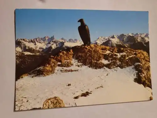 Dolomiti - Monumento a Christomannos
