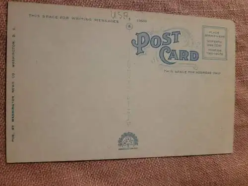 Washington Monument Blossoms - Washington D.C.