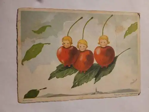 Kirschen - Bange Fahrt ins Ungewisse