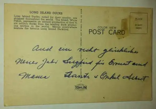 Long Island - Duck Farm