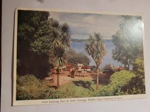 Irish Jaunting Cars at Cottage - Middle Lake - Killarney - Ireland