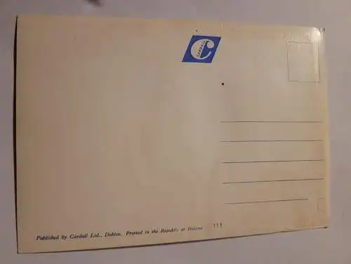 ST. Patricks Cathedral - Dublin