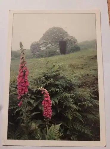 Beehive Hut