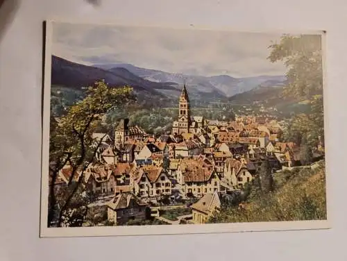 Münster vom Narrenstein aus