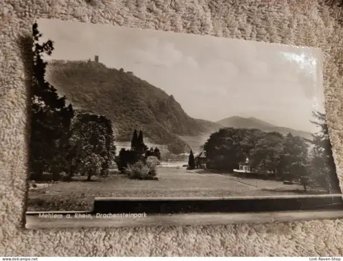 Mehlem a. Rhein - Drachensteigpark