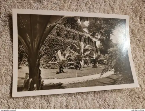Insel Mainau - Partie am Schloßpark