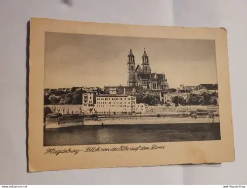 Magdeburg - Blick von der Elbe auf den Dom