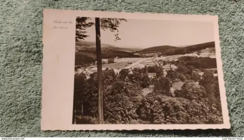 Blick auf die Arensburg