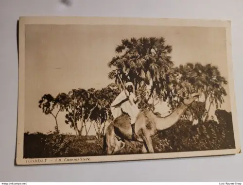 Agordat - Un Cammelliere