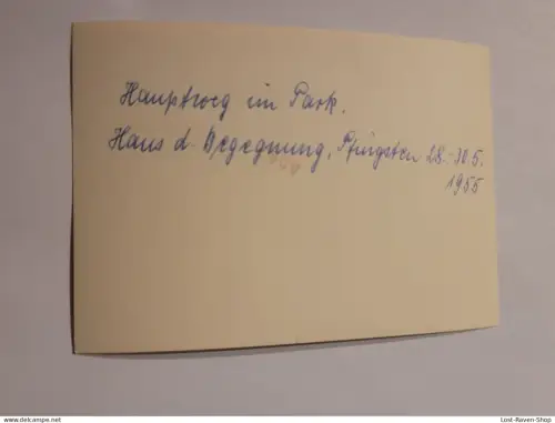 Altes Auto am Waldrand