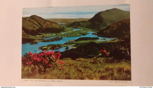 Ladies View near Killarney - Kerry