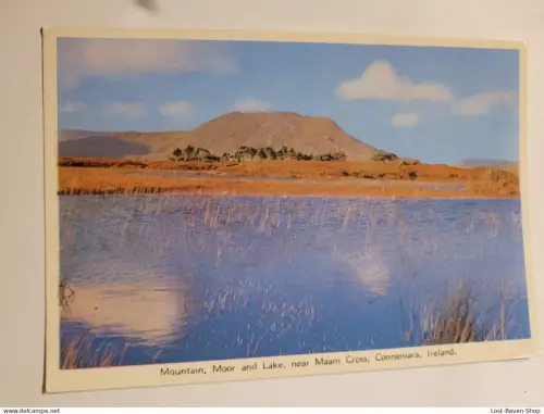 Mountain Moor and Lake - Connemara