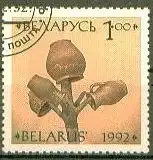Weißrußland  Nr 20 gestempelt