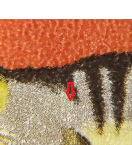 Bundesrep. Deutschland  Nr 549 (Plattenfehler) Postfrisch / **