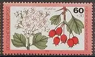Bundesrep. Deutschland  Nr 1026 Postfrisch / **