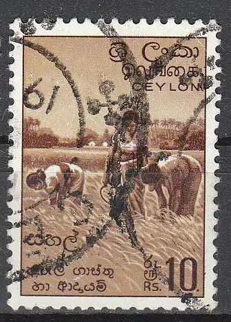 Sri Lanka  Nr 310 Q / Ceylon
