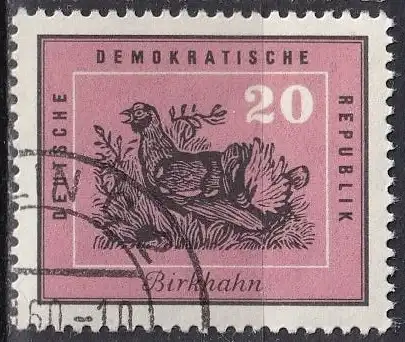 DDR  Nr 701 Q