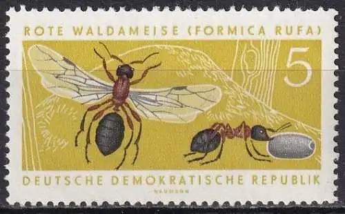 DDR  Nr 869 Postfrisch / **