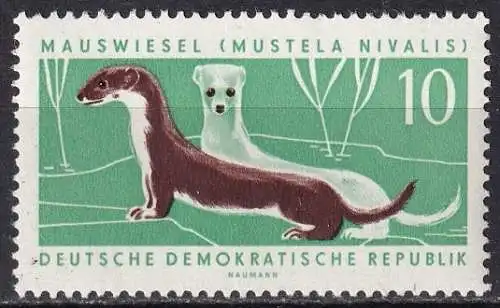 DDR  Nr 870 Postfrisch / **